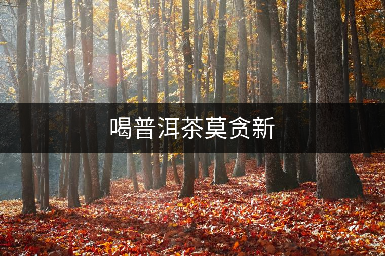 喝普洱茶莫貪新