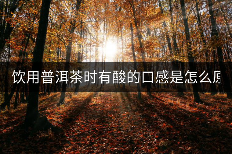 飲用普洱茶時有酸的口感是怎么原因？