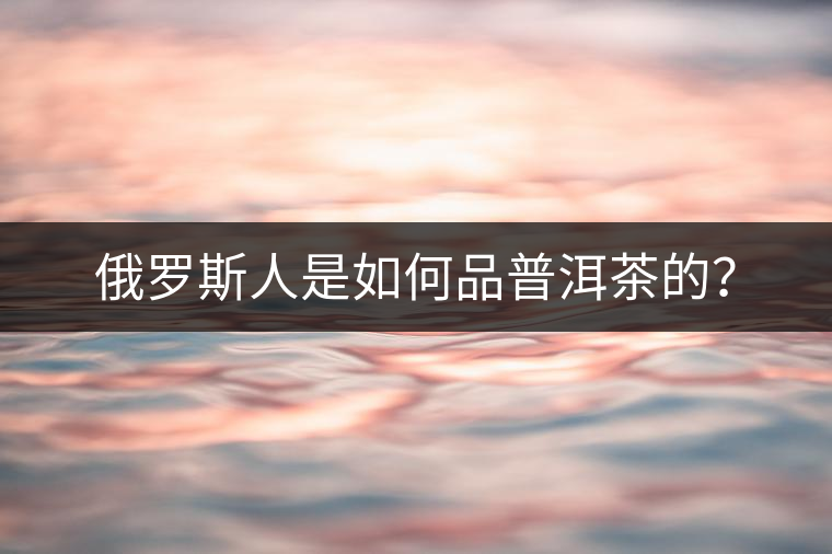 俄羅斯人是如何品普洱茶的？