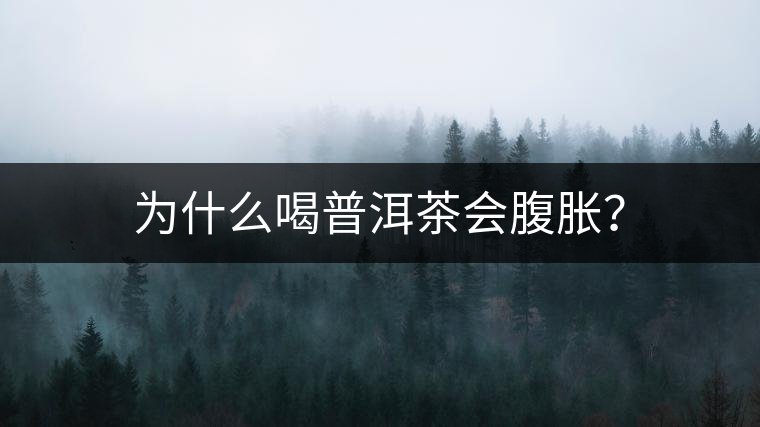 為什么喝普洱茶會(huì)腹脹？