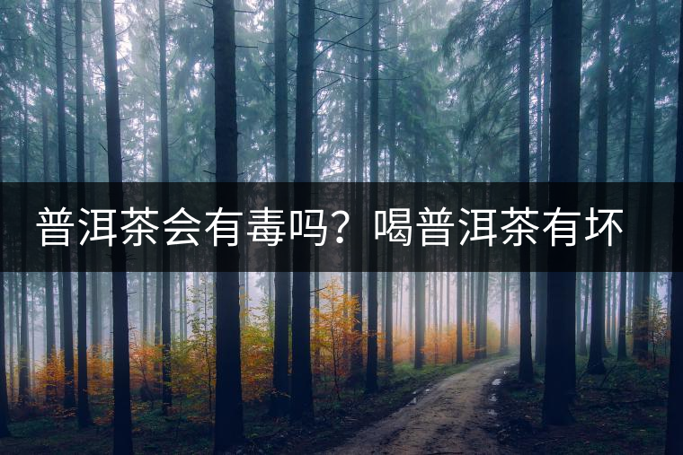 普洱茶會(huì)有毒嗎？喝普洱茶有壞處嗎？
