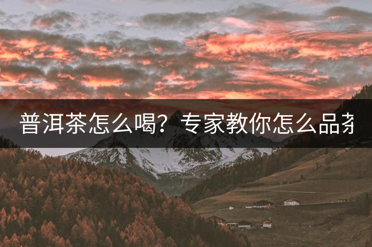 普洱茶怎么喝？專(zhuān)家教你怎么品茶？