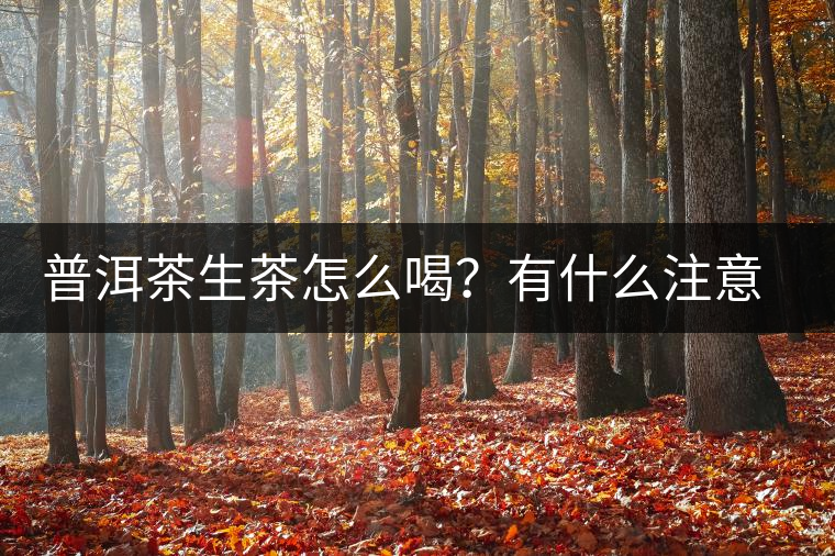 普洱茶生茶怎么喝？有什么注意事項嗎？