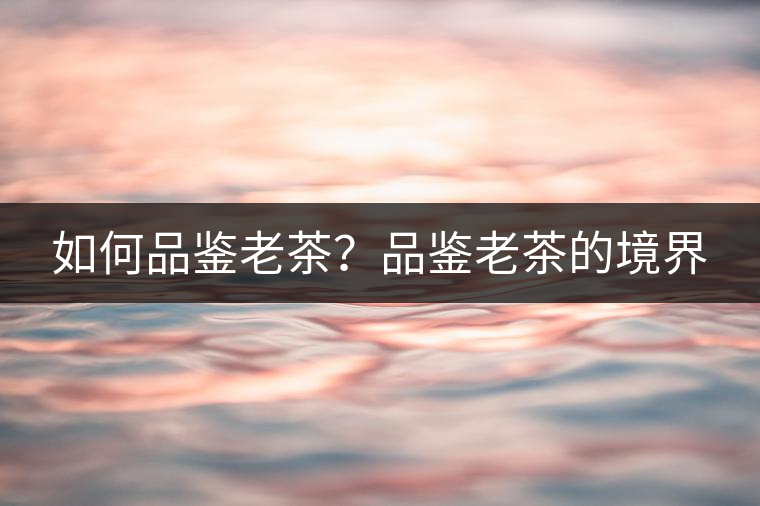如何品鑒老茶？品鑒老茶的境界
