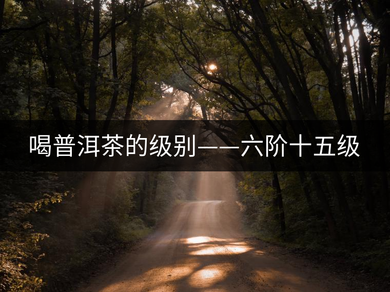 喝普洱茶的級別——六階十五級