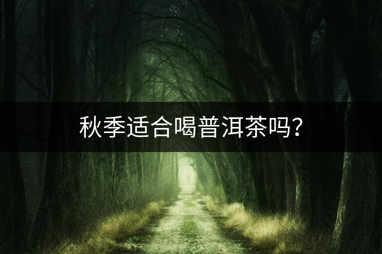 秋季適合喝普洱茶嗎？