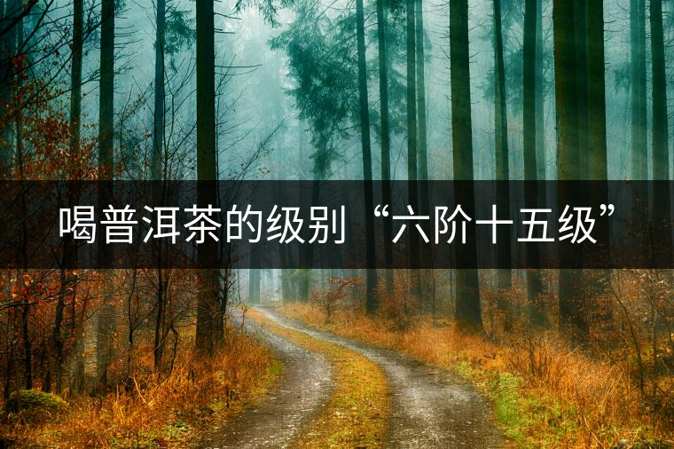 喝普洱茶的級別“六階十五級”