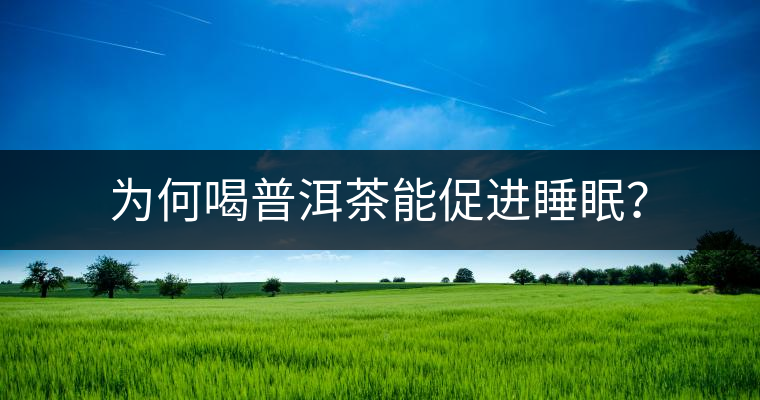 為何喝普洱茶能促進(jìn)睡眠？