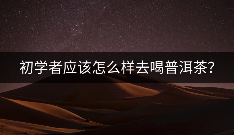 初學者應該怎么樣去喝普洱茶？