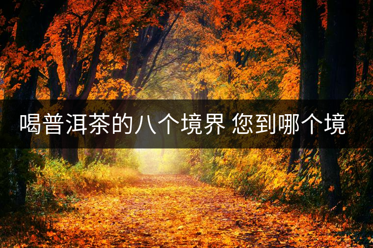 喝普洱茶的八個境界 您到哪個境界了？