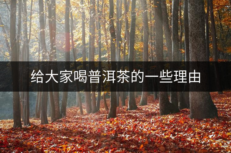 給大家喝普洱茶的一些理由