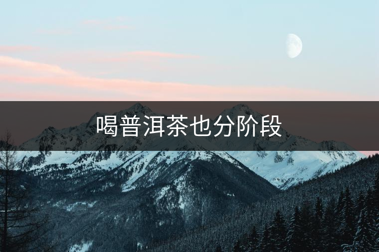 喝普洱茶也分階段