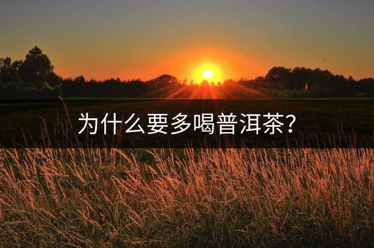 為什么要多喝普洱茶？