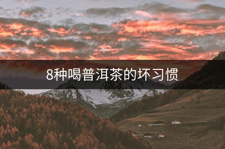 8種喝普洱茶的壞習(xí)慣