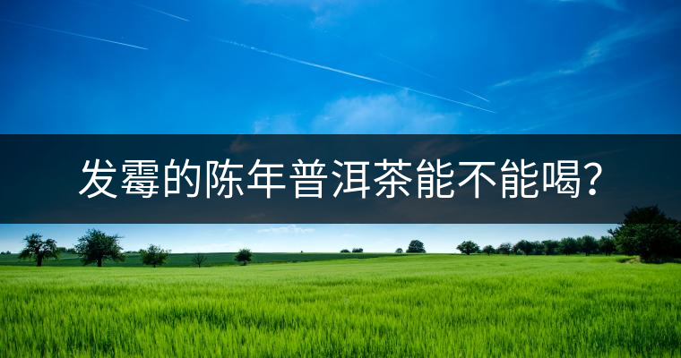 發(fā)霉的陳年普洱茶能不能喝？