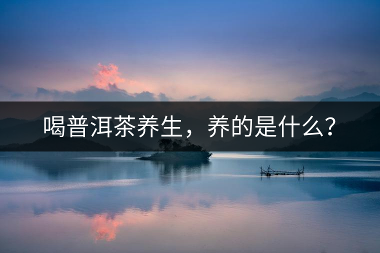 喝普洱茶養(yǎng)生，養(yǎng)的是什么？