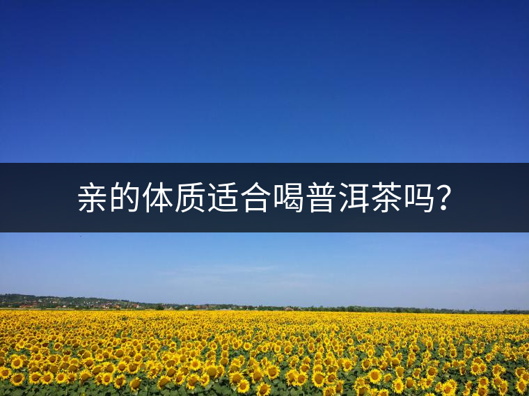 親的體質(zhì)適合喝普洱茶嗎？