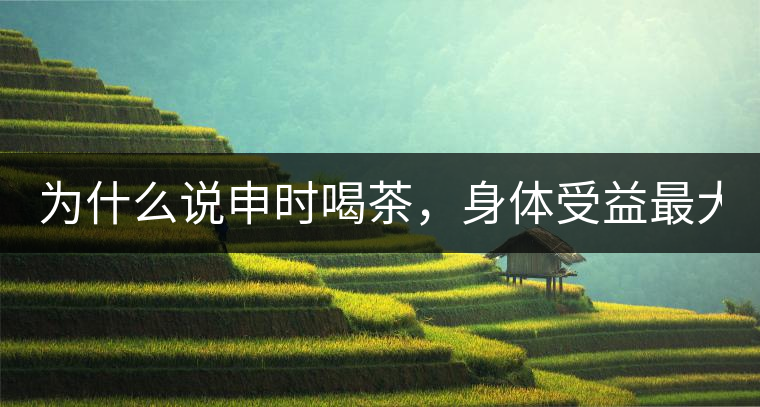 為什么說申時喝茶，身體受益最大？