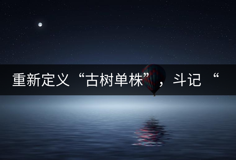 重新定義“古樹單株”，斗記 “超級(jí)審評(píng)”有償招募告罄在即！