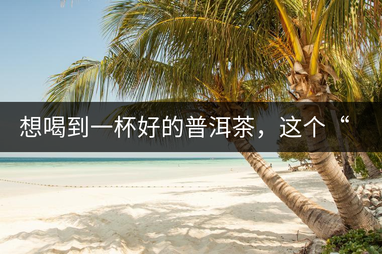 想喝到一杯好的普洱茶，這個(gè)“醒茶”步驟很關(guān)鍵