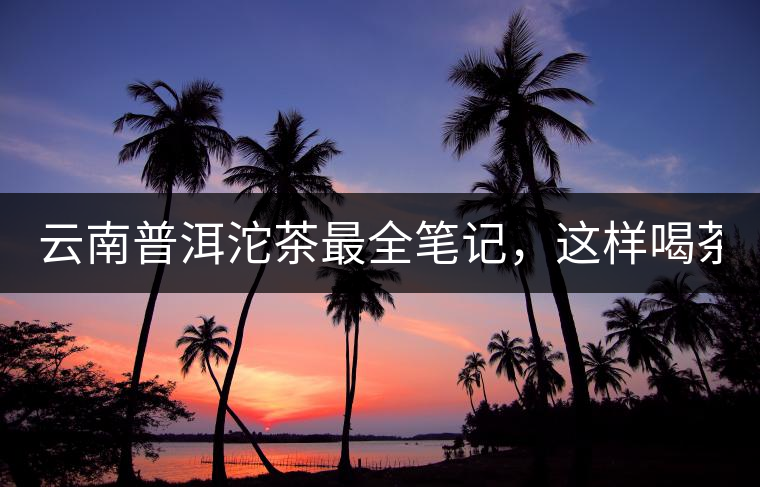 云南普洱沱茶最全筆記，這樣喝茶才更健康！