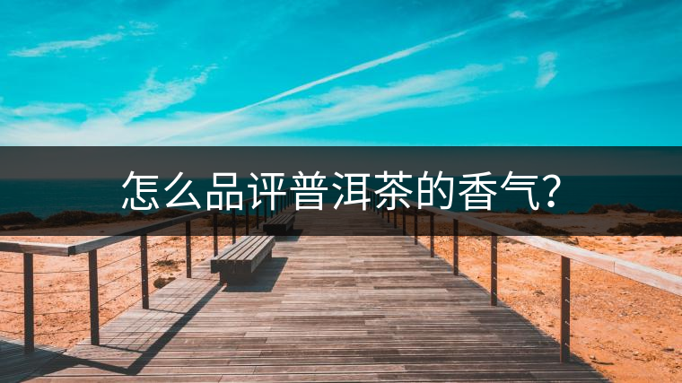 怎么品評普洱茶的香氣？