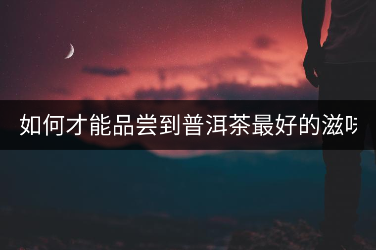 如何才能品嘗到普洱茶最好的滋味？