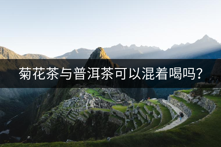 菊花茶與普洱茶可以混著喝嗎？