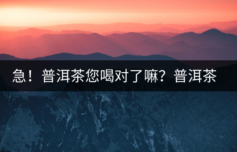 急！普洱茶您喝對了嘛？普洱茶的十八般武藝