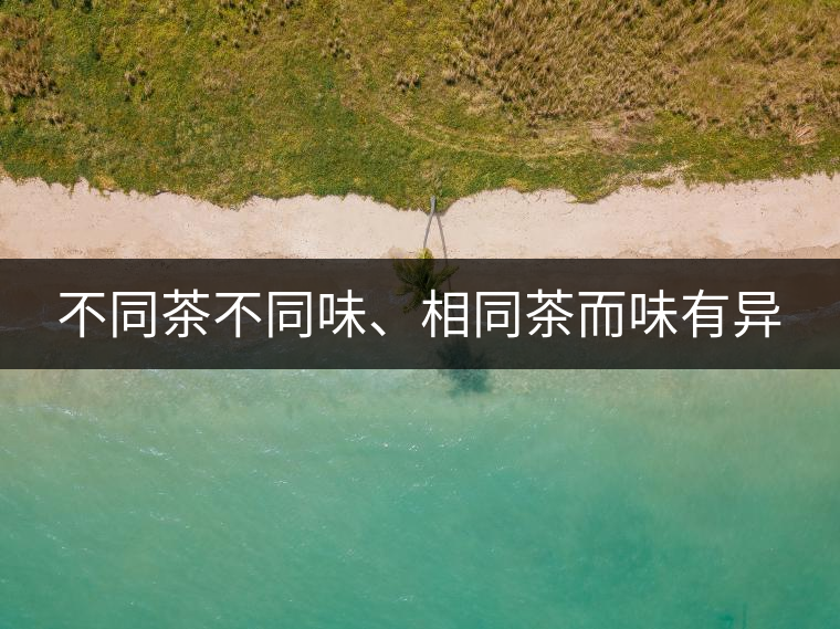 不同茶不同味、相同茶而味有異