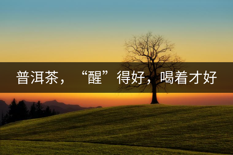普洱茶，“醒”得好，喝著才好