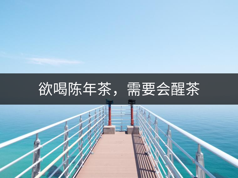 欲喝陳年茶，需要會醒茶