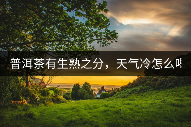 普洱茶有生熟之分，天氣冷怎么喝？