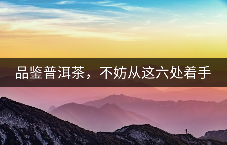 品鑒普洱茶，不妨從這六處著手