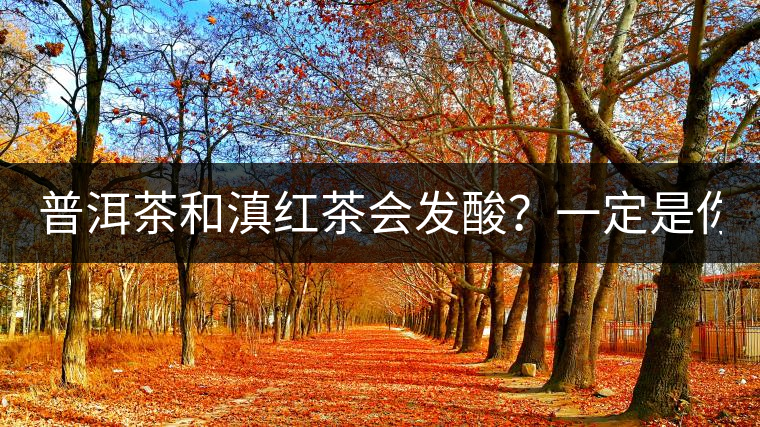 普洱茶和滇紅茶會發(fā)酸？一定是你這么做了！