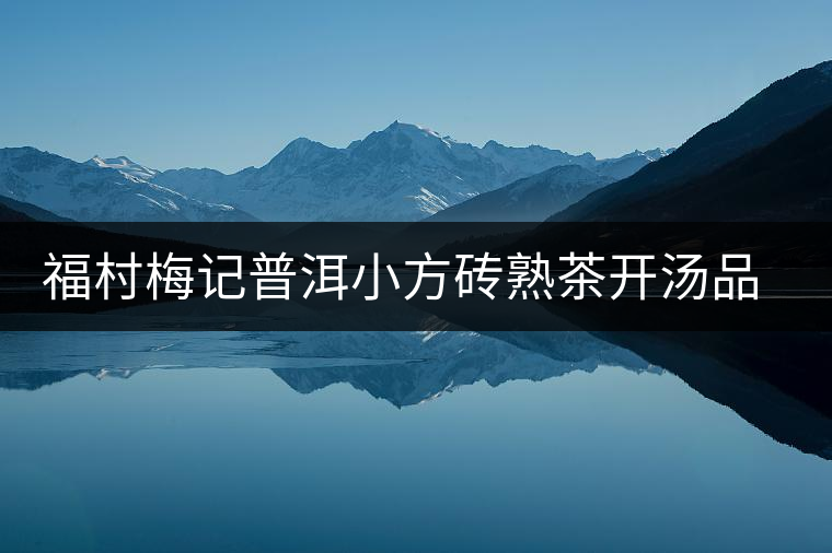 福村梅記普洱小方磚熟茶開湯品鑒 福村梅記普洱小方磚熟茶開湯品鑒