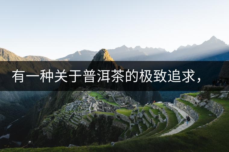 有一種關(guān)于普洱茶的極致追求， 當(dāng)屬于鴻中鴻