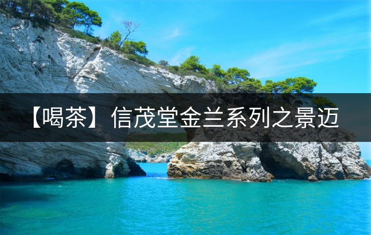 【喝茶】信茂堂金蘭系列之景邁生茶 【喝茶】信茂堂金蘭系列之景邁生茶