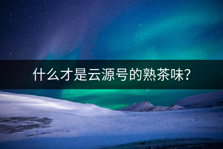 什么才是云源號的熟茶味？
