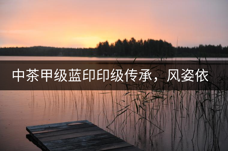 中茶甲級藍印印級傳承，風姿依舊
