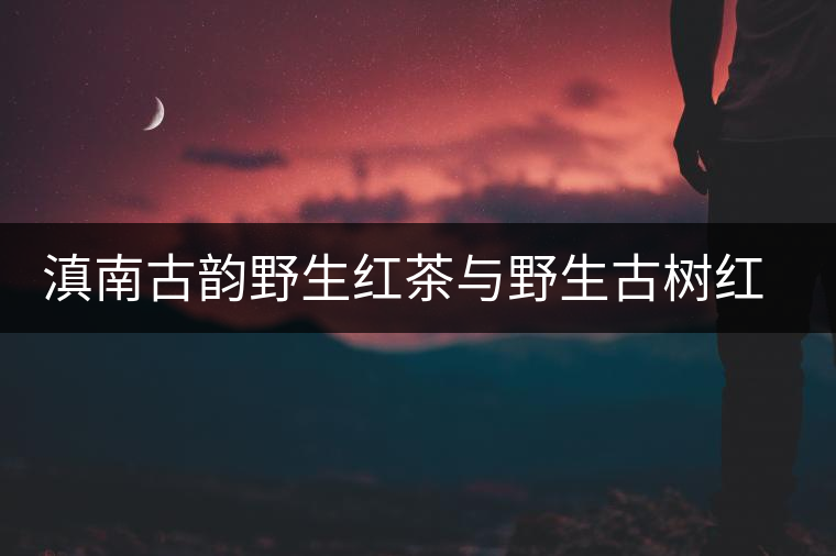 滇南古韻野生紅茶與野生古樹紅茶開湯對(duì)比