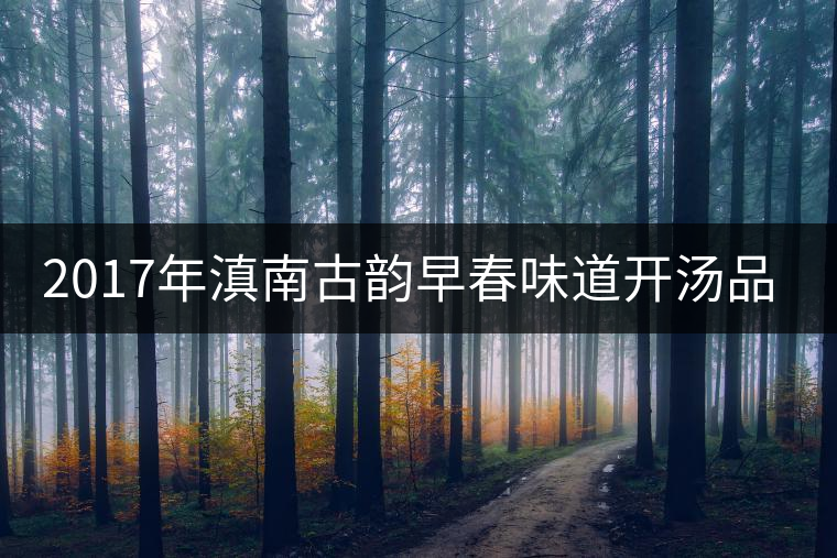 2017年滇南古韻早春味道開(kāi)湯品鑒 2017年滇南古韻早春味道開(kāi)湯品鑒