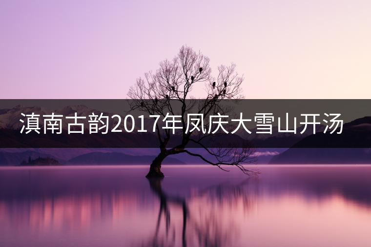 滇南古韻2017年鳳慶大雪山開湯品鑒