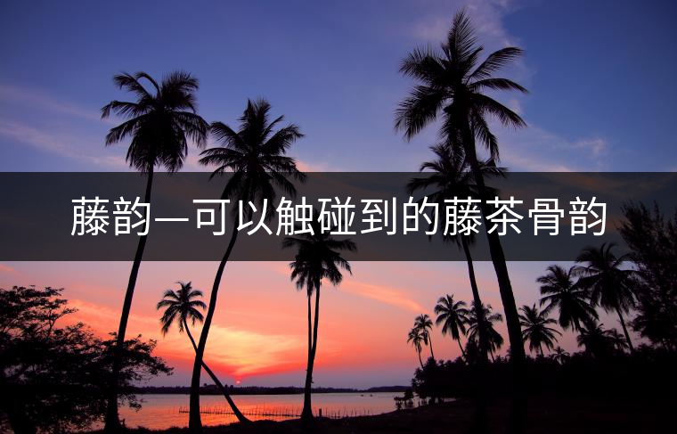 藤韻—可以觸碰到的藤茶骨韻 藤韻—可以觸碰到的藤茶骨韻