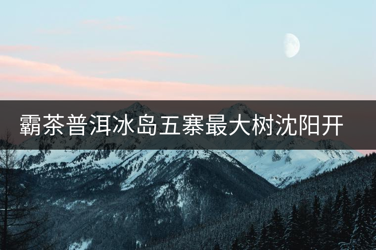 霸茶普洱冰島五寨最大樹沈陽開湯