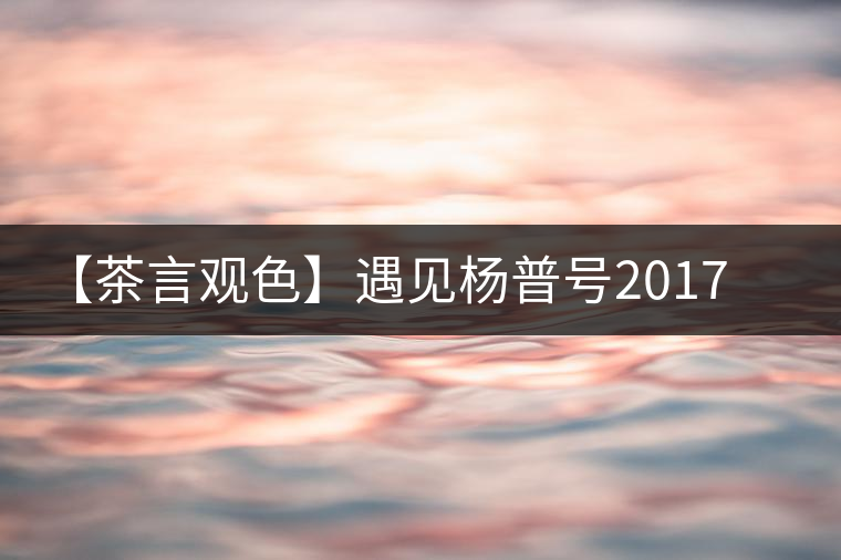 【茶言觀色】遇見楊普號(hào)2017年千山之外