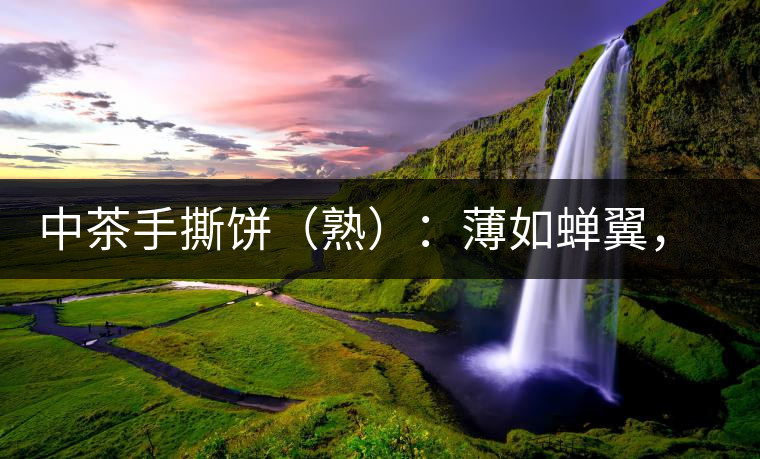中茶手撕餅（熟）：薄如蟬翼，翩若驚鴻