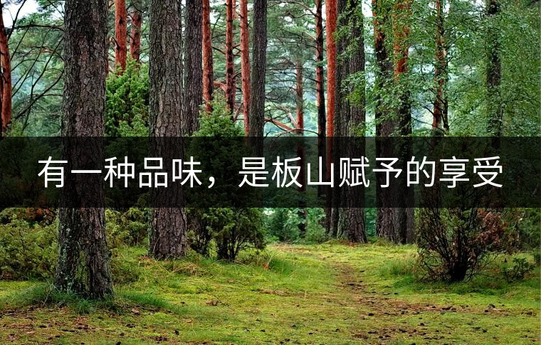 有一種品味，是板山賦予的享受
