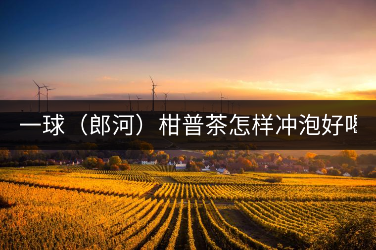 一球（郎河）柑普茶怎樣沖泡好喝？