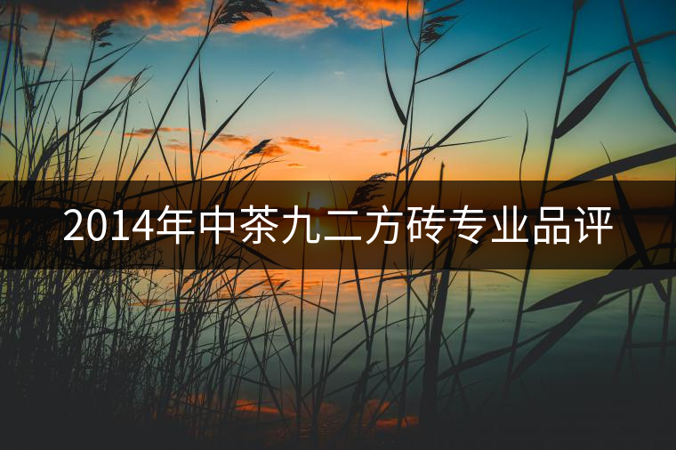 2014年中茶九二方磚專業(yè)品評